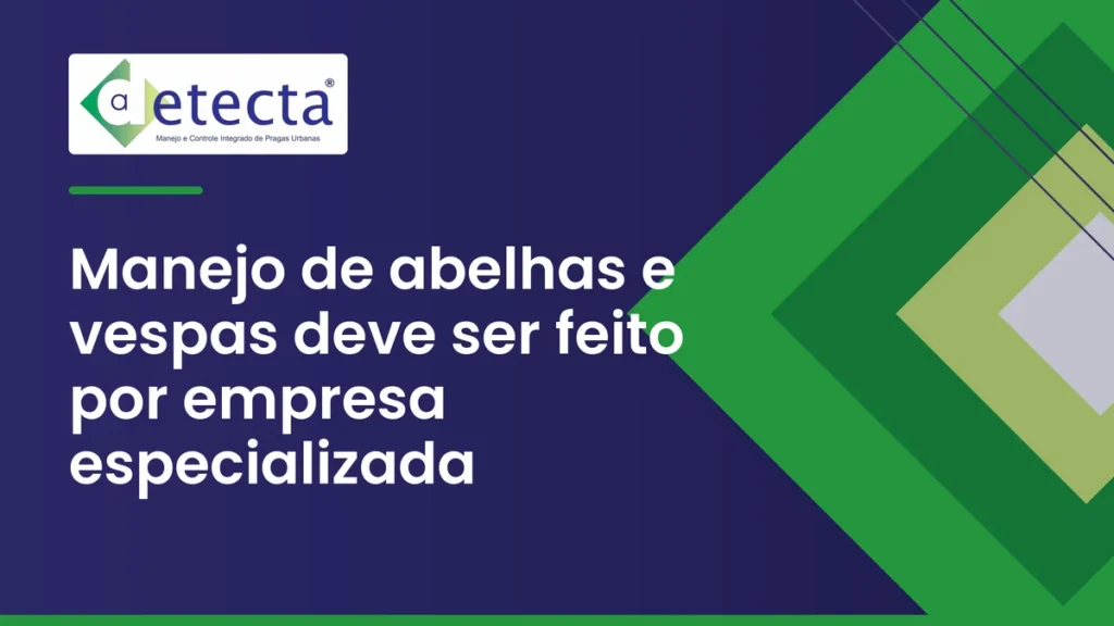 Capa do artigo sobre manejo de abelhas e vespas deve ser feito por empresa especializada.