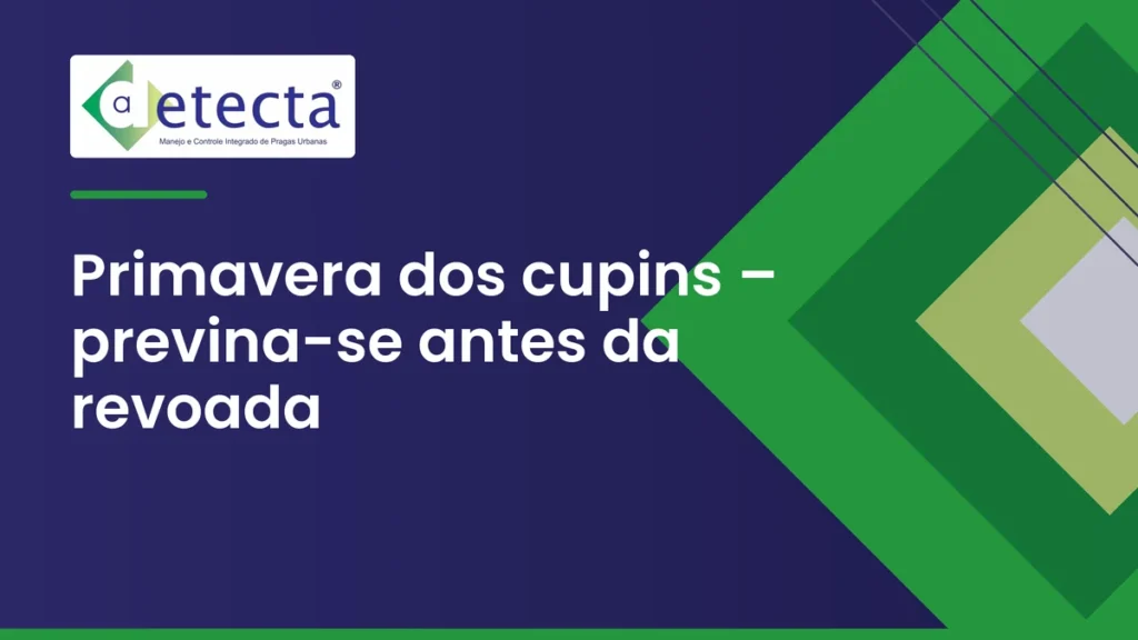 Capa do artigo sobre primavera dos cupins – previna-se antes da revoada.
