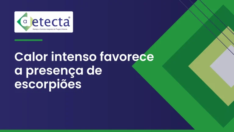 Capa do artigo sobre calor intenso favorece a presença de escorpiões.
