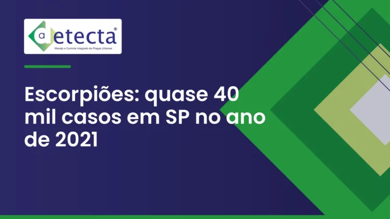 Capa do artigo sobre escorpiões: quase 40 mil casos em SP no ano de 2021.
