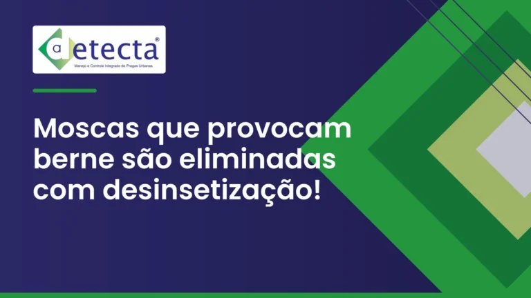 Capa do artigo sobre moscas que provocam berne são eliminadas com desinsetização.