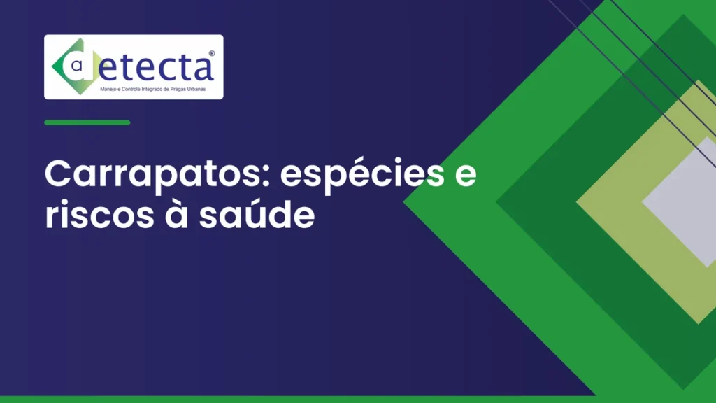 Capa do artigo sobre carrapatos: espécies e riscos à saúde.