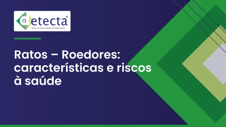 Capa do artigo sobre ratos – Roedores.