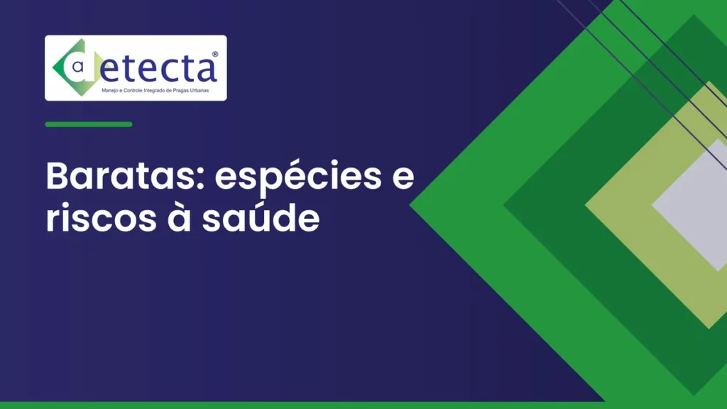 Capa do artigo sobre baratas: espécies e riscos à saúde.
