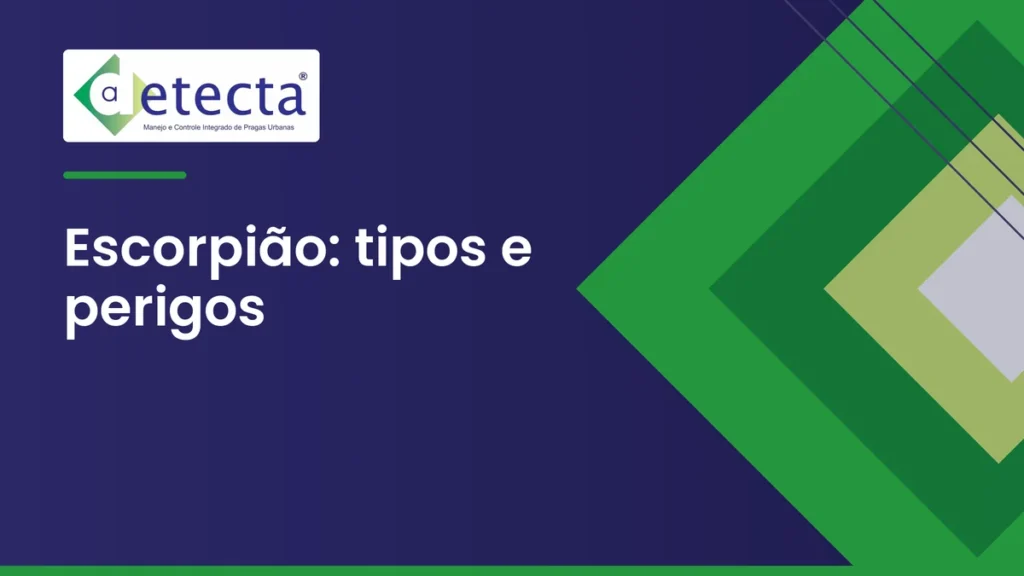 Capa do artigo sobre escorpião: tipos e perigos.