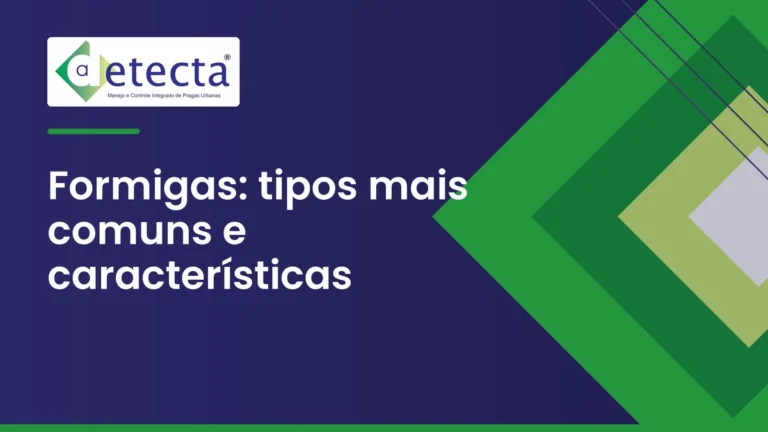 Capa do artigo sobre formigas: tipos mais comuns e características.