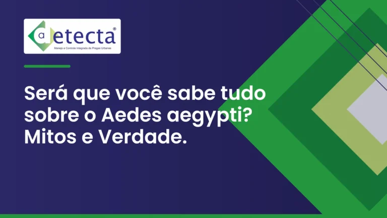 Capa do artigo sobre será que você sabe tudo sobre o Aedes aegypti? Mitos e Verdade.