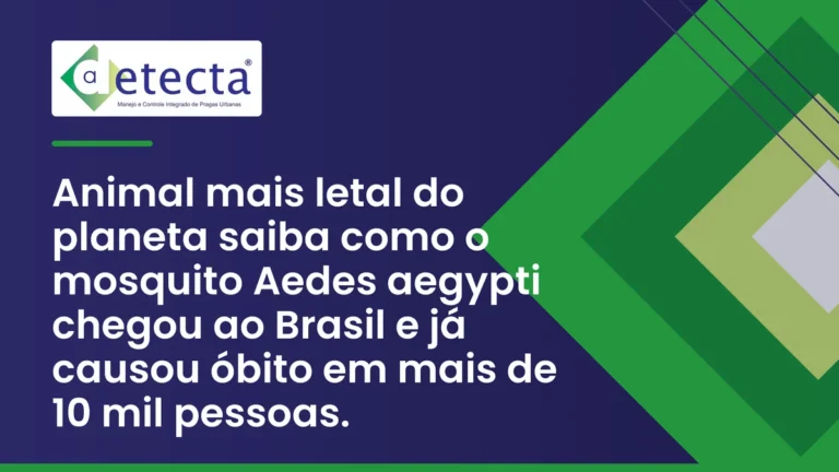 Capa do artigo sobre animal mais letal do planeta saiba como o mosquito Aedes aegypti chegou.