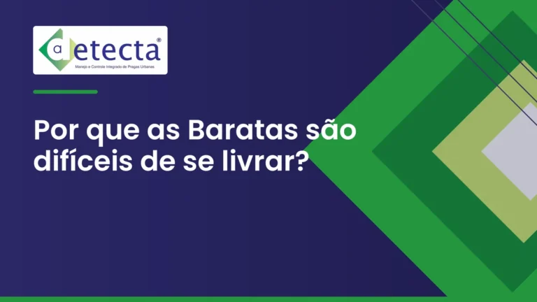Capa do artigo sobre por que as Baratas são difíceis de se livrar.