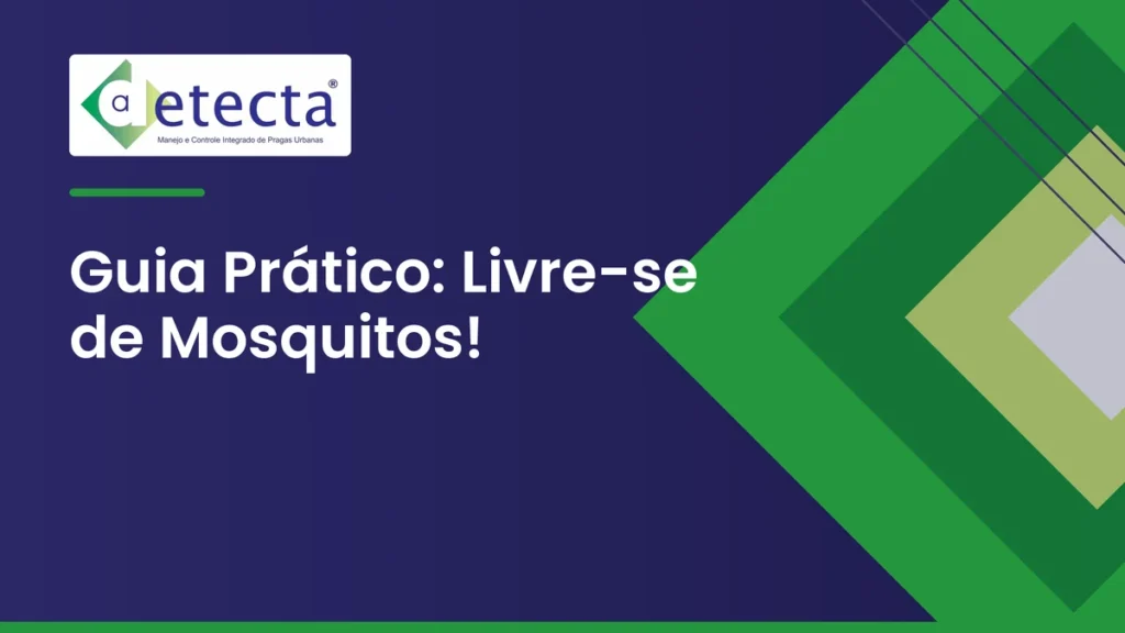 Capa do artigo sobre guia Prático.