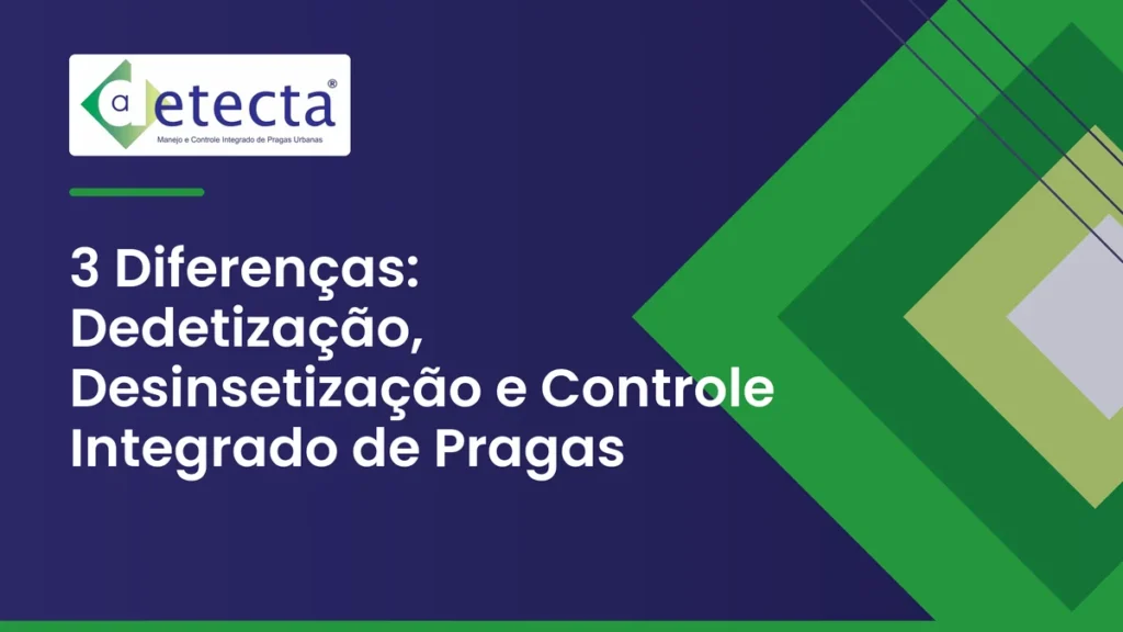 Capa do artigo sobre 3 Diferenças.