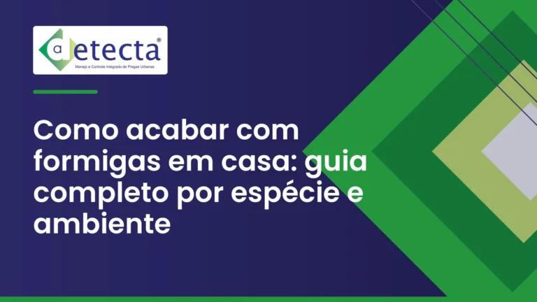 Capa do artigo sobre como acabar com formigas em casa.