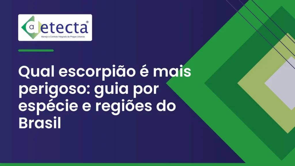 Capa do artigo sobre qual escorpião é mais perigoso.