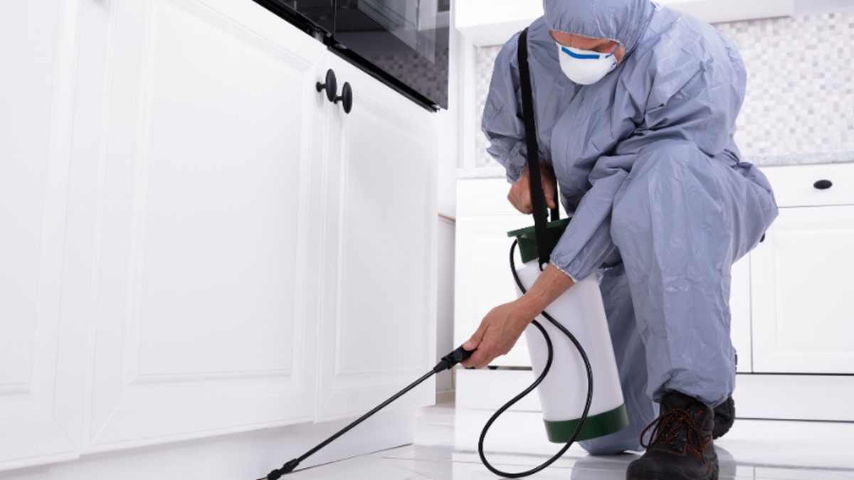 Aplicação técnica de controle de pragas em ambiente residencial para a Unidade Detecta em Cosmópolis.