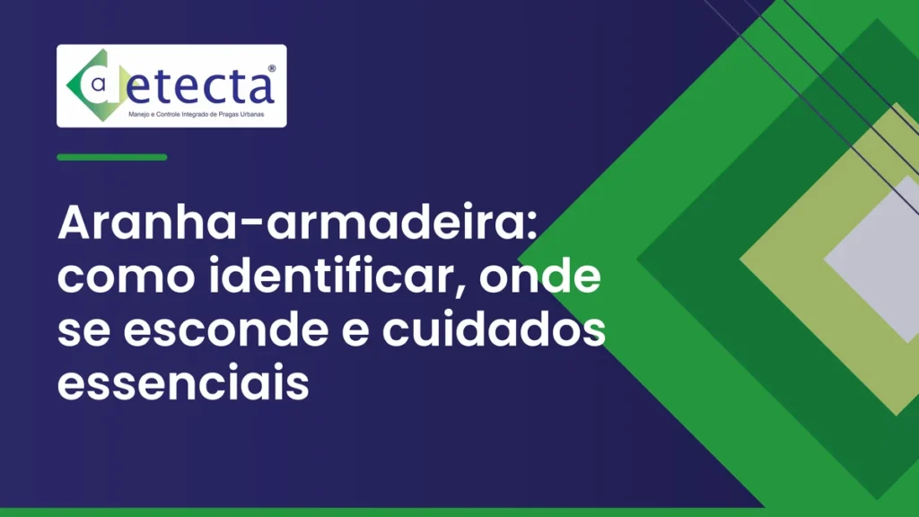 Capa do artigo sobre aranha-armadeira.
