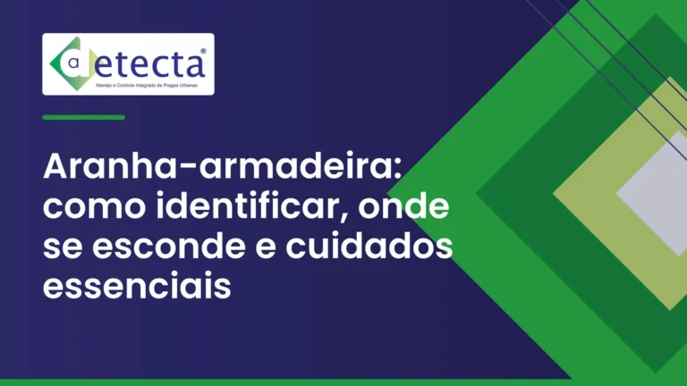 Capa do artigo sobre aranha-armadeira.