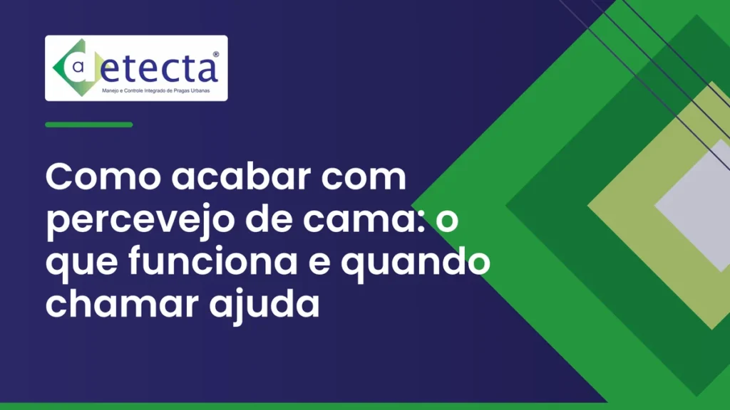 Capa do artigo sobre como acabar com percevejo de cama.