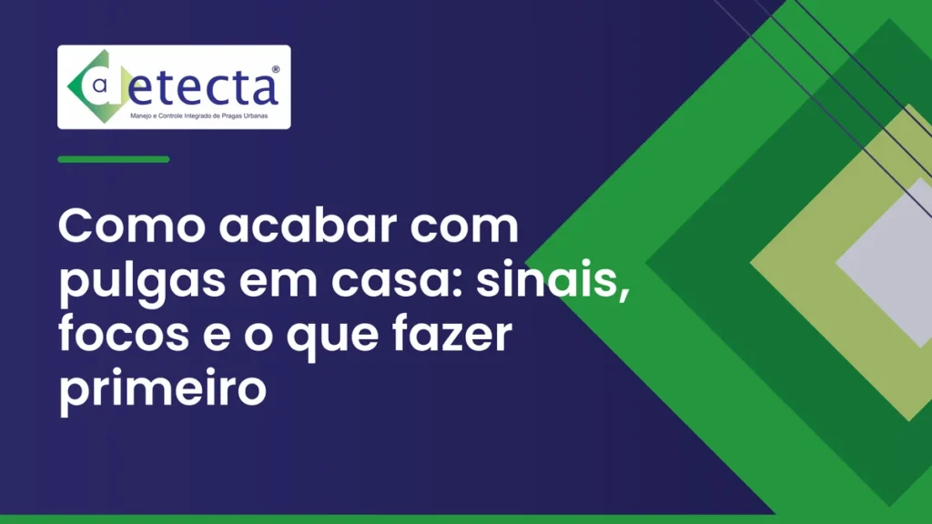 Capa do artigo sobre como acabar com pulgas em casa.