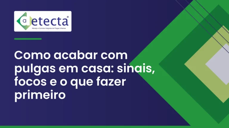 Capa do artigo sobre como acabar com pulgas em casa.