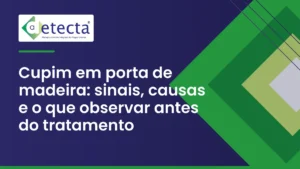 Capa do artigo sobre cupim em porta de madeira.