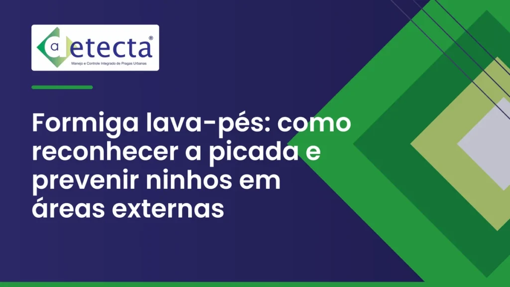 Capa do artigo sobre formiga lava-pés.