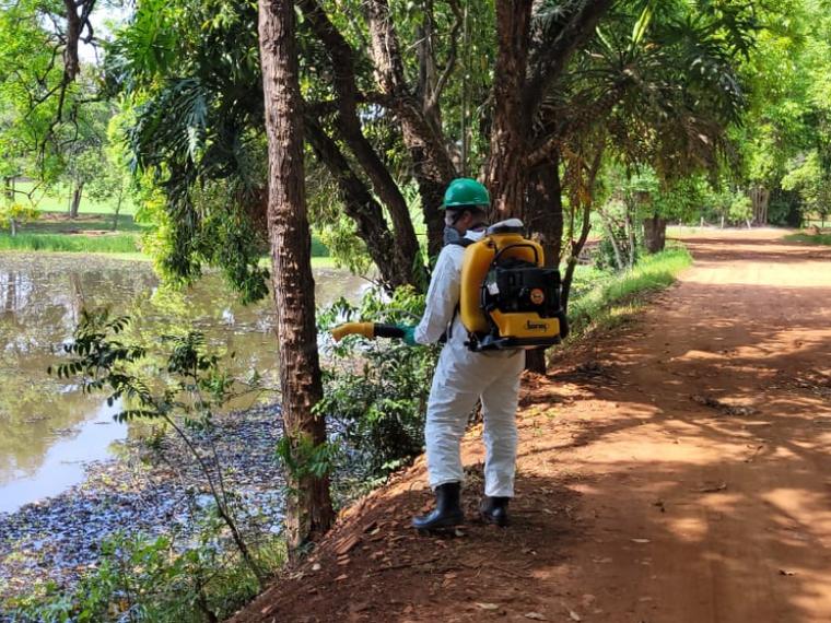 Nebulização em área verde