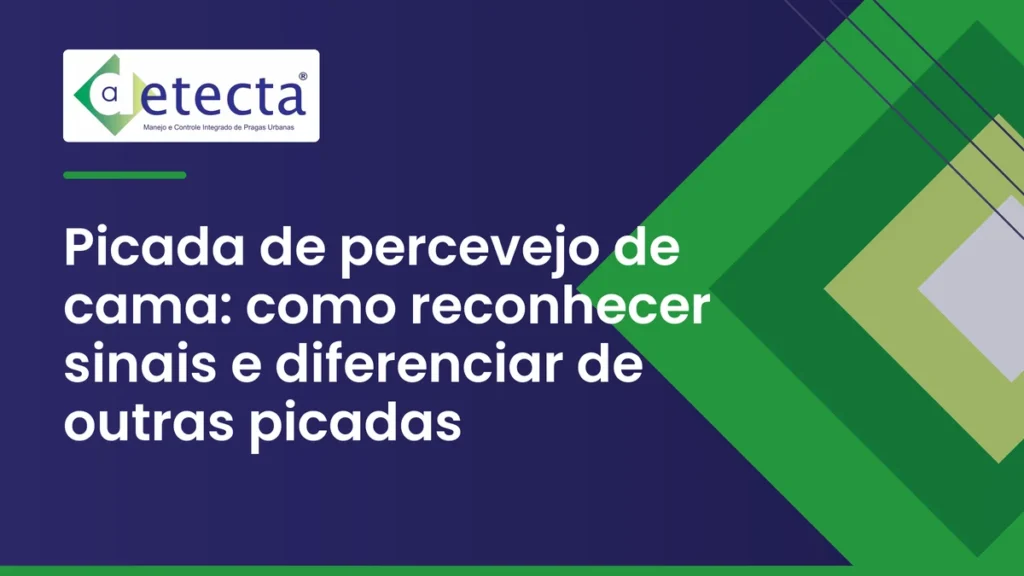 Capa do artigo sobre picada de percevejo de cama.