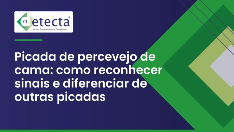 Capa do artigo sobre picada de percevejo de cama.