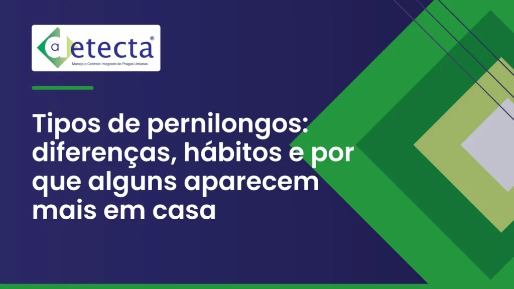 Capa do artigo sobre tipos de pernilongos.